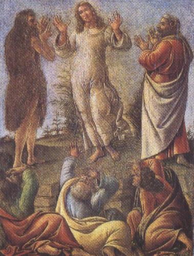 Sandro Botticelli Transfiguration,wtih St jerome and St Augustine (mk36) Sweden oil painting art